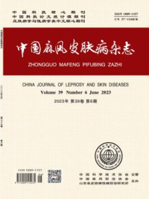 中国麻风皮肤病杂志
